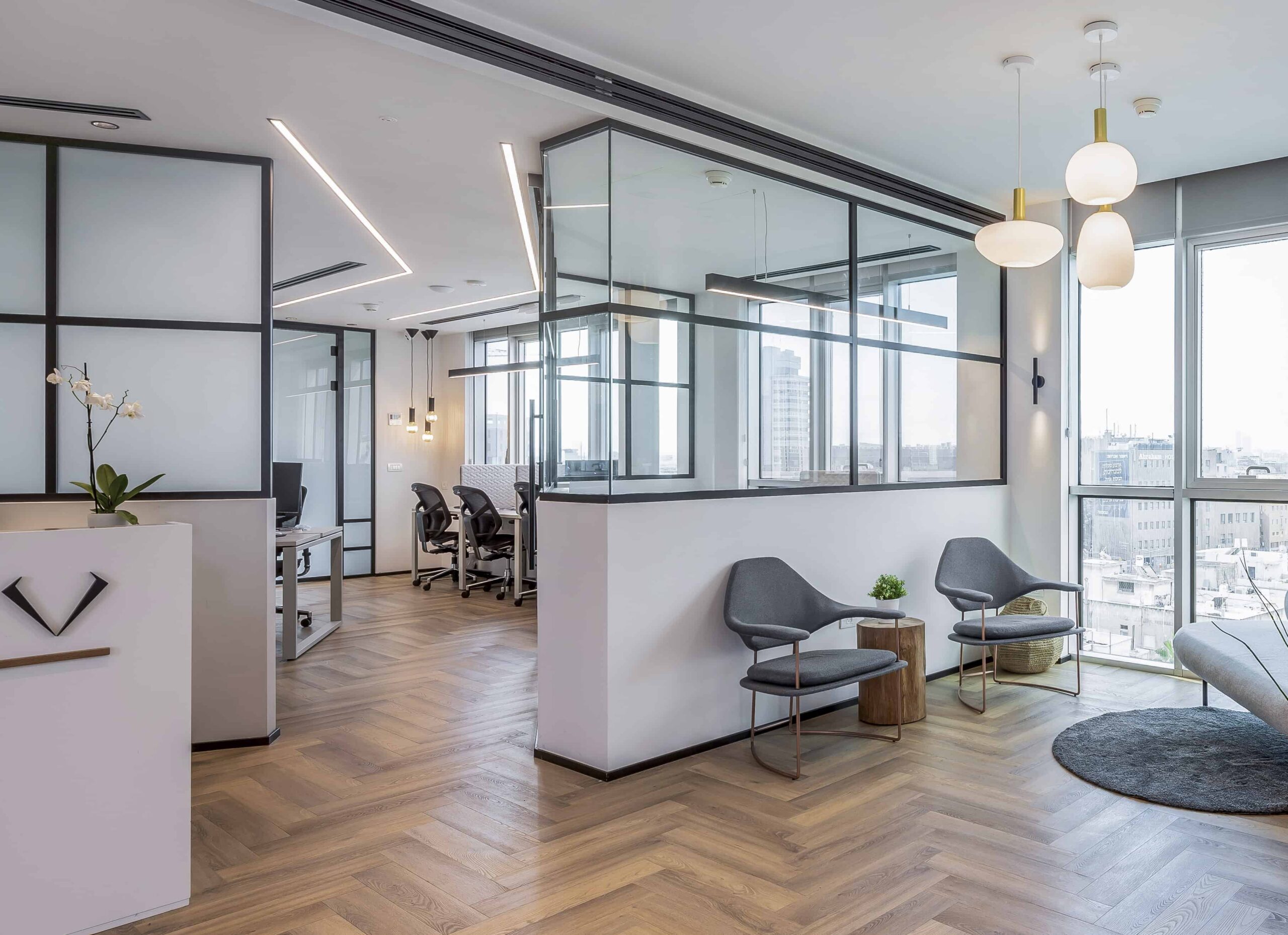פרוייקט לדוגמא עם חברת Hi-tech company - אגם שקד תכנון וביצוע פרוייקטים